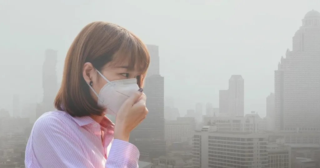 อันตรายที่เกิดจากฝุ่นละอองขนาดเล็ก PM 2.5