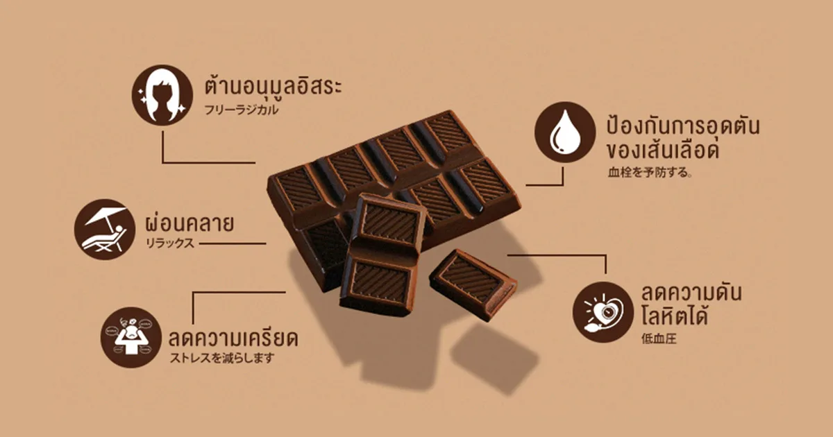 Chocolate ข้อดี VS ข้อเสีย ควรกินหรือไม่?