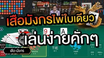 อยากทำกำไรจากไพ่เสือมังกรต้องใช้เทคนิคอะไรบ้าง?